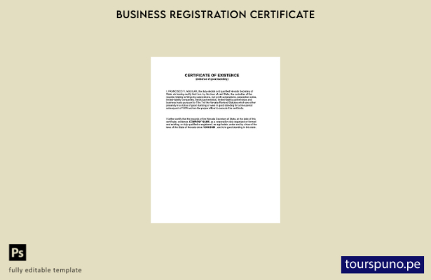 listo para imprimir Plantilla de certificado de existencia de EE. UU. Nevada Pla